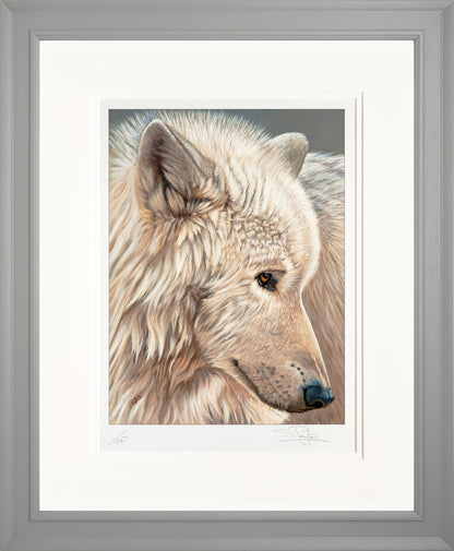 Spirit of the North Limited Edition Print by Sue Payton Framed Grey