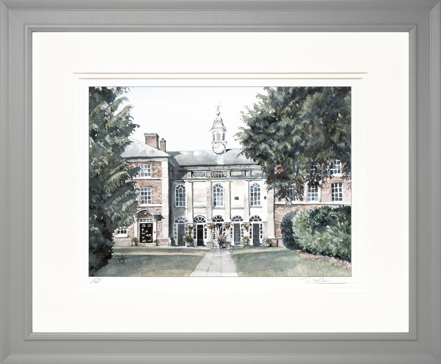 Adams II Limited Edition Print by Sue Payton Framed Grey