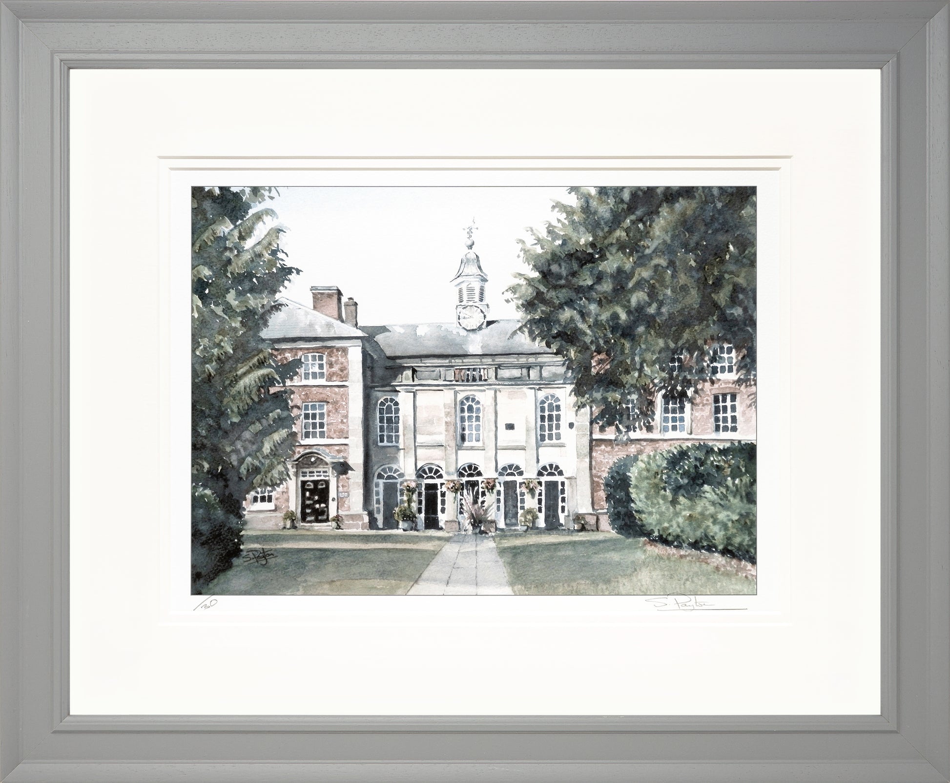 Adams II Limited Edition Print by Sue Payton Framed Grey