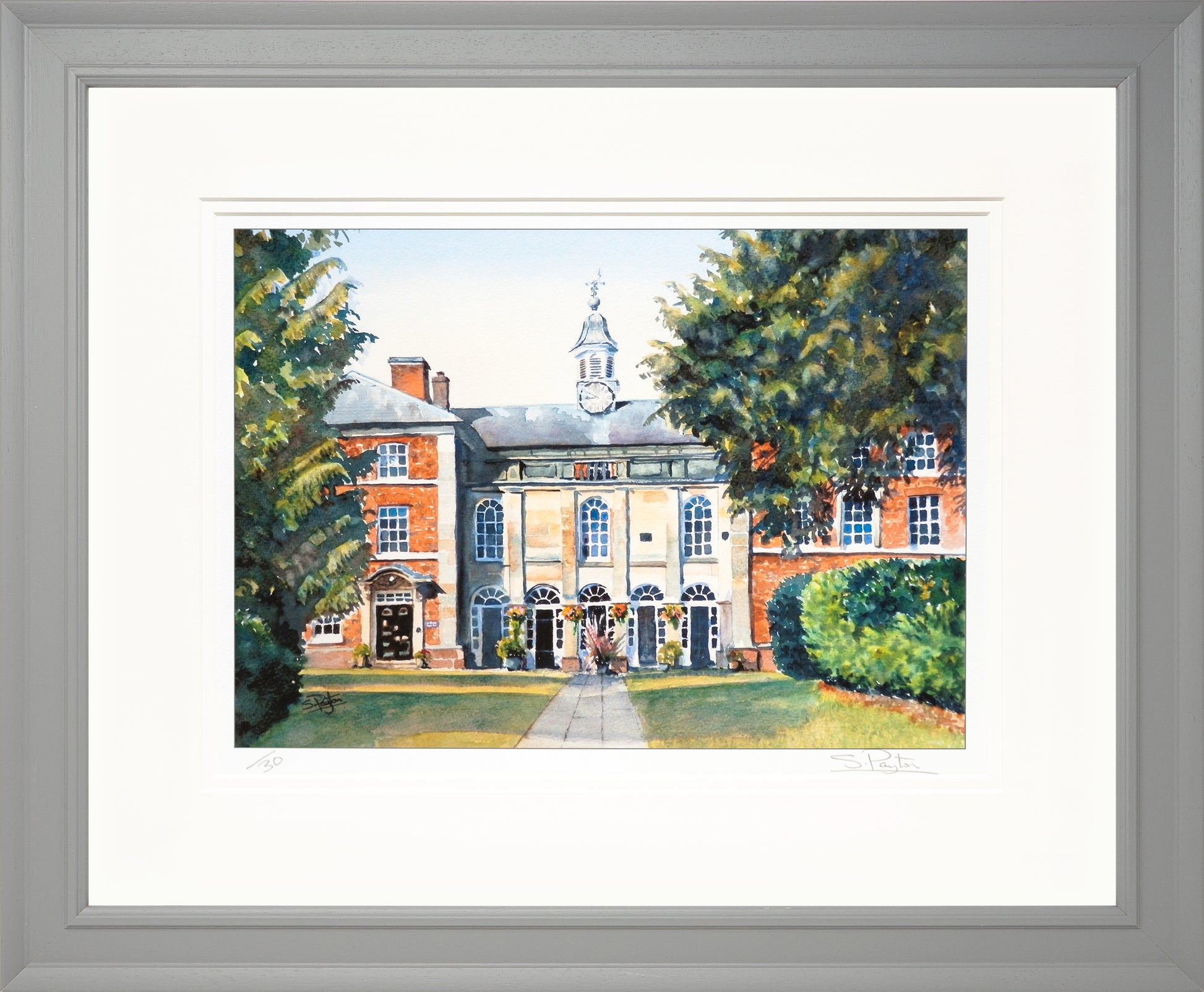 Adams Limited Edition Print by Sue Payton Framed Grey