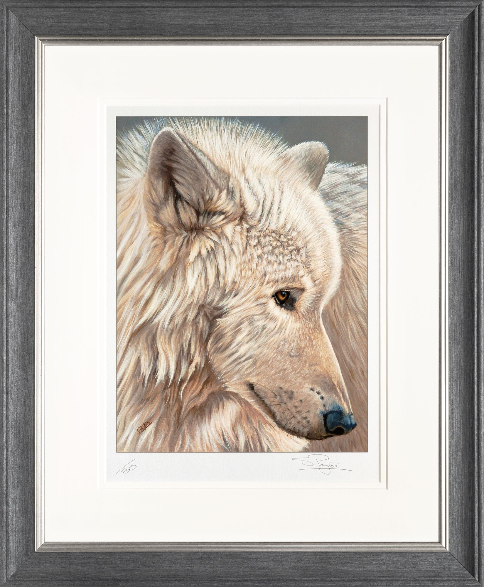 Spirit of the North Limited Edition Print by Sue Payton Framed Grey Silver