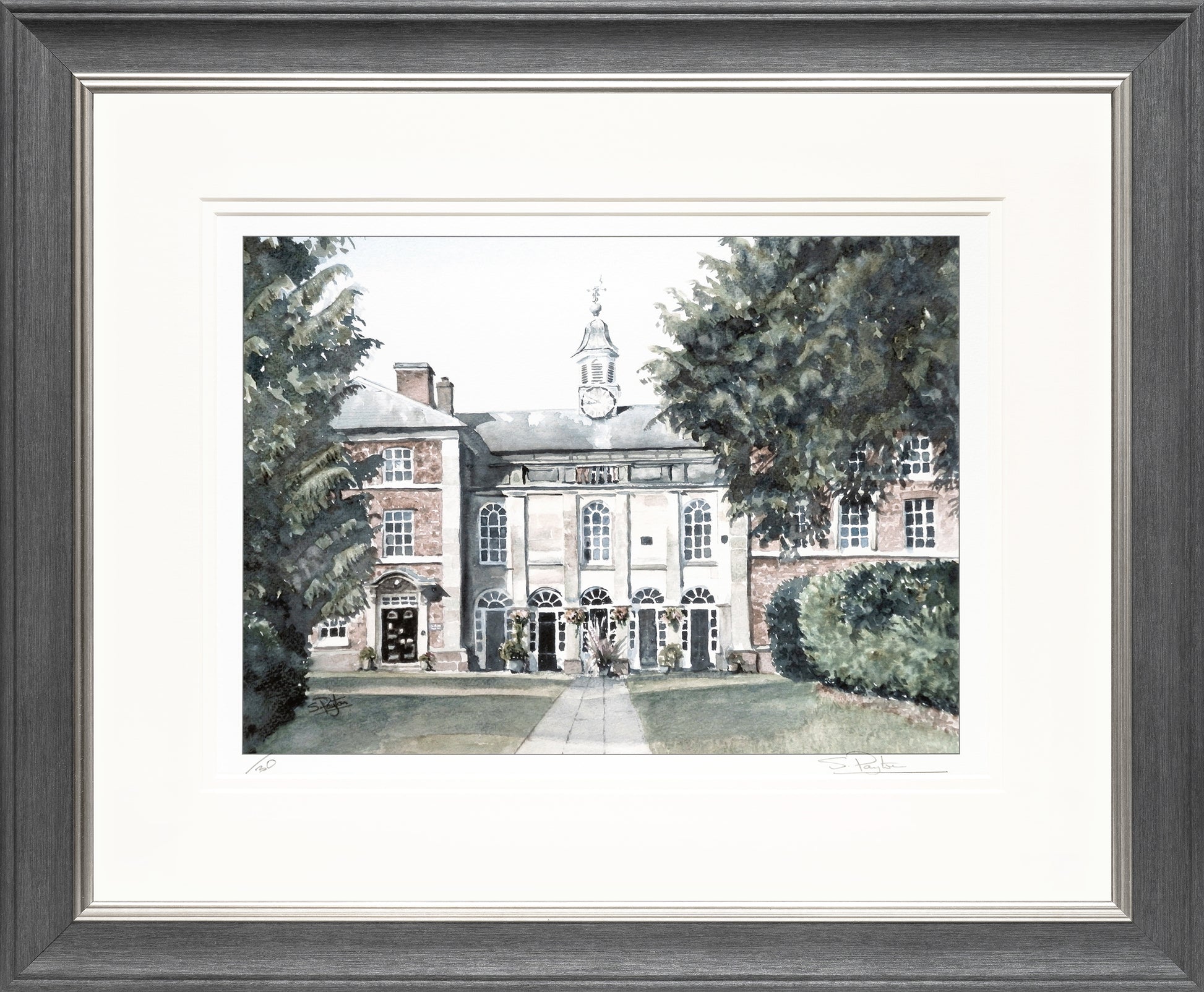 Adams II Limited Edition Print by Sue Payton Framed Grey Silver