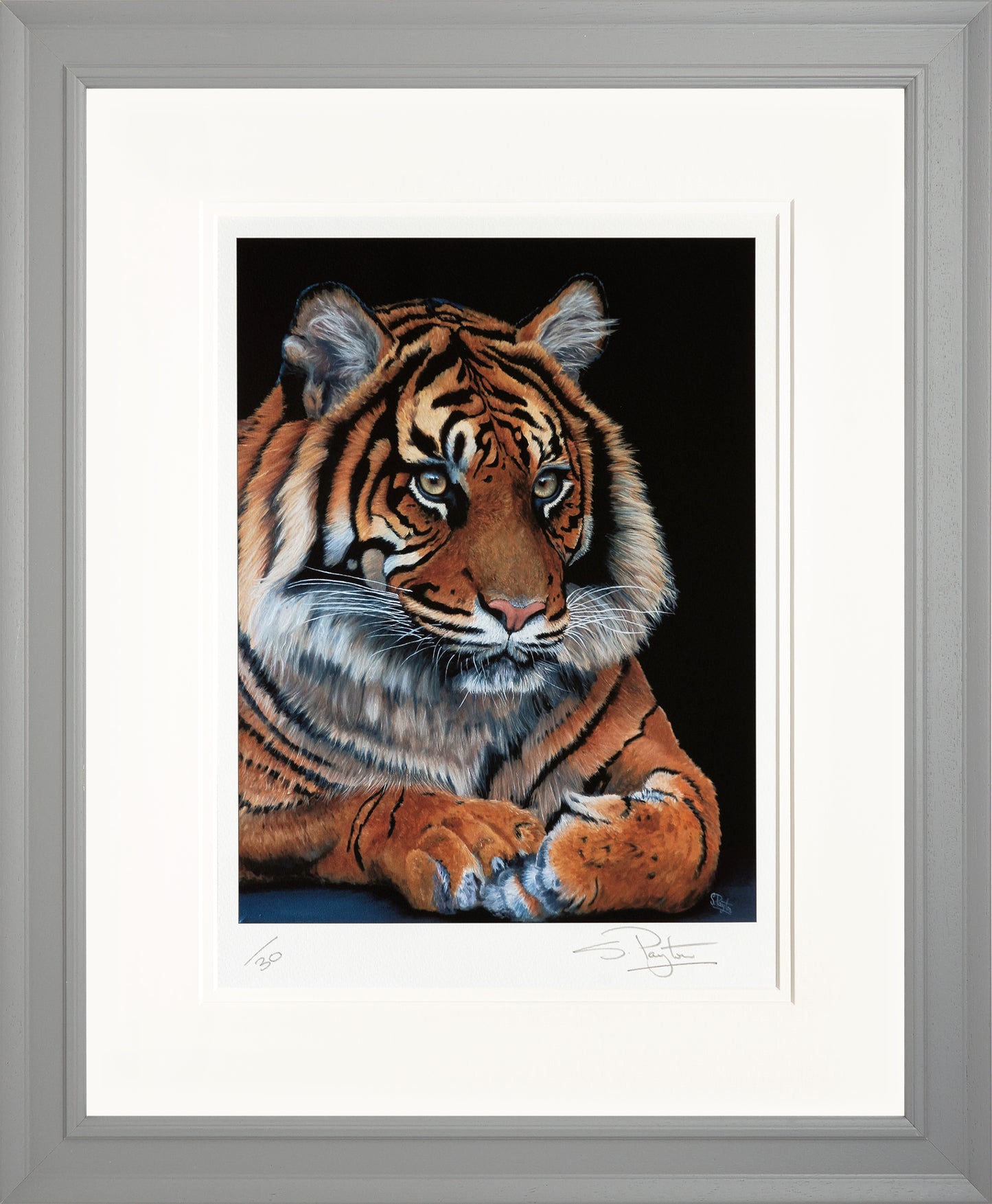 Watching limited edition print by Sue Payton
