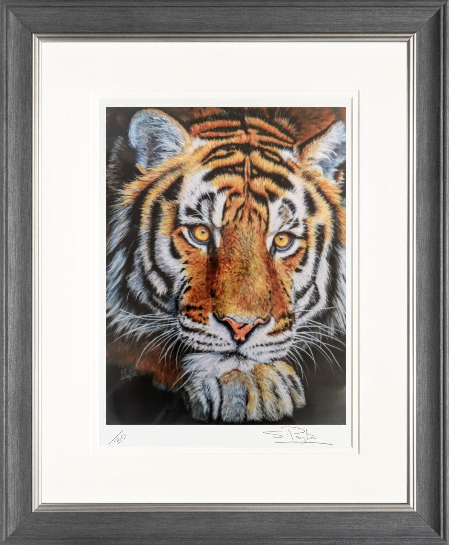 Jupiter limited edition print by Sue Payton