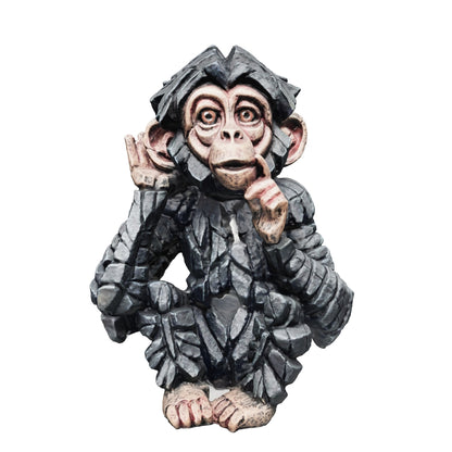 Baby Chimpanzee Hear No Evil