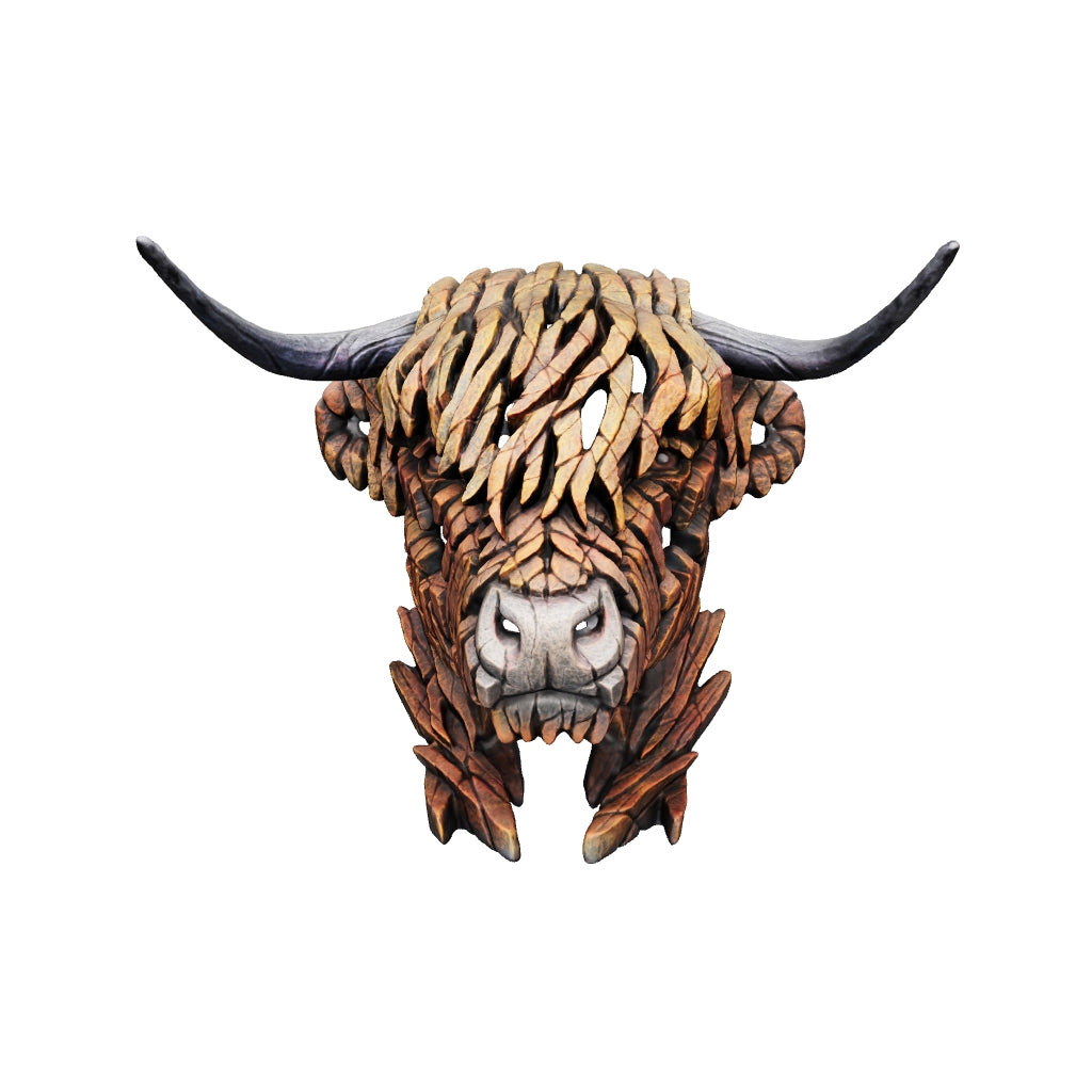 Highland Cow Bust from Edge Sculpture by Matt Buckley Artworx Gallery