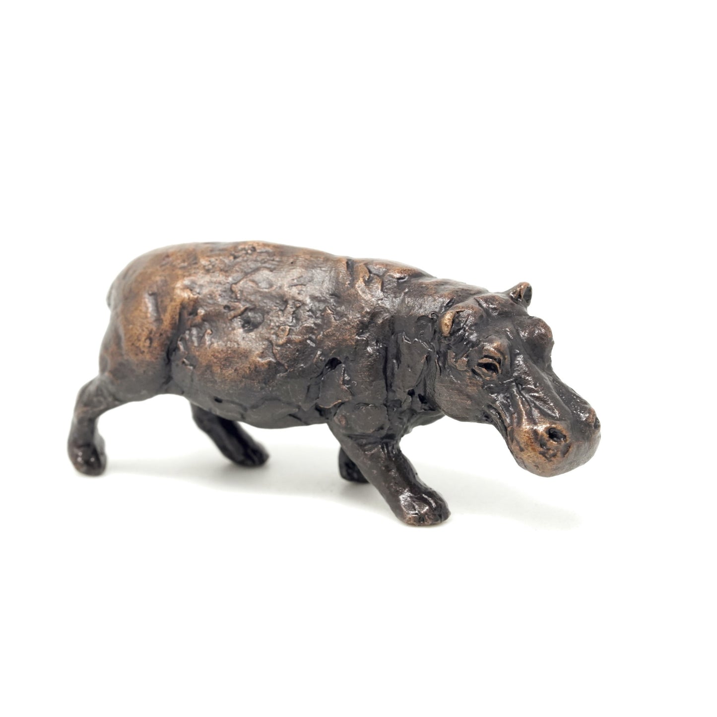 Hippo