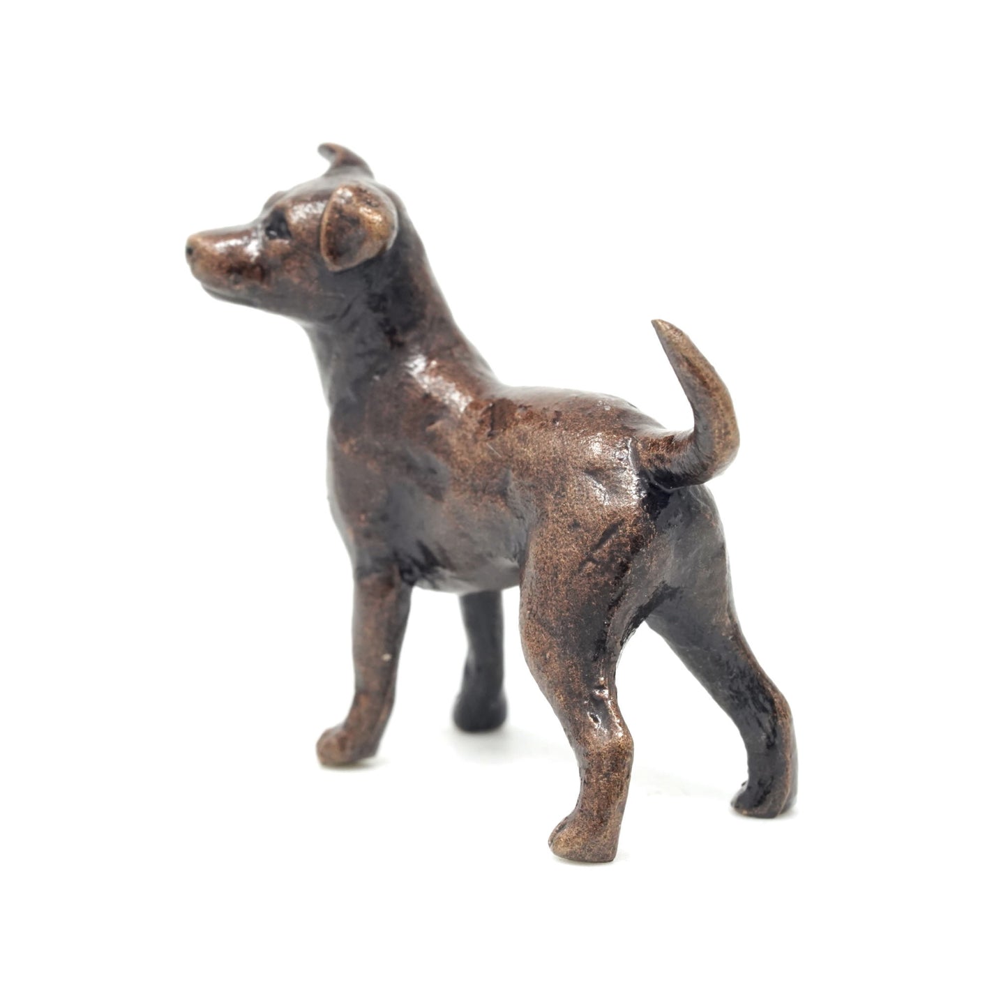 Jack Russell