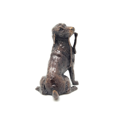 Labrador with Lead