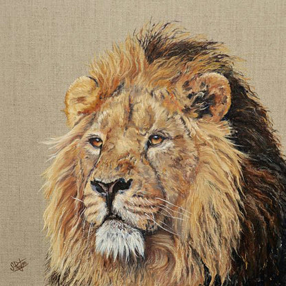 Lion by Sue Payton