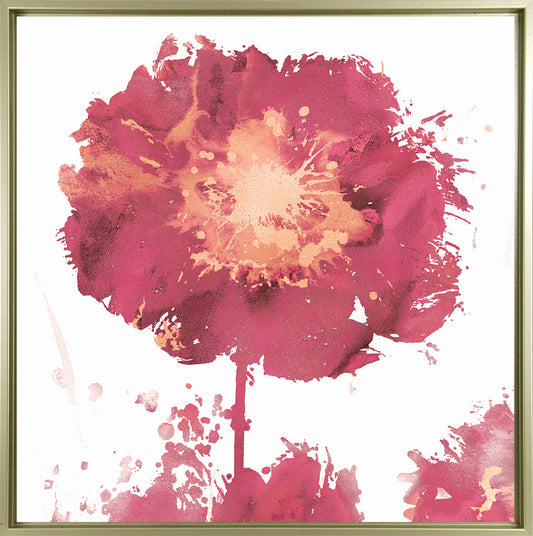 Magenta Flower Burst I framed print by Vanessa Austin