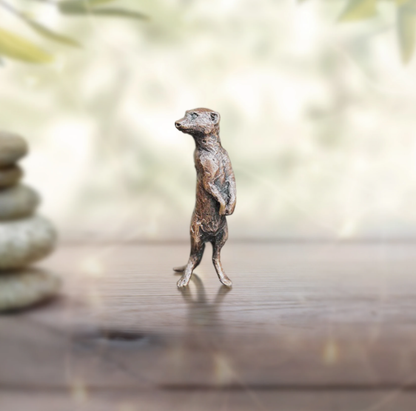 Meerkat by Butler and Peach