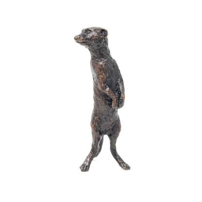 Meerkat Standing