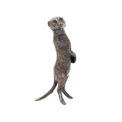 Meerkat Standing
