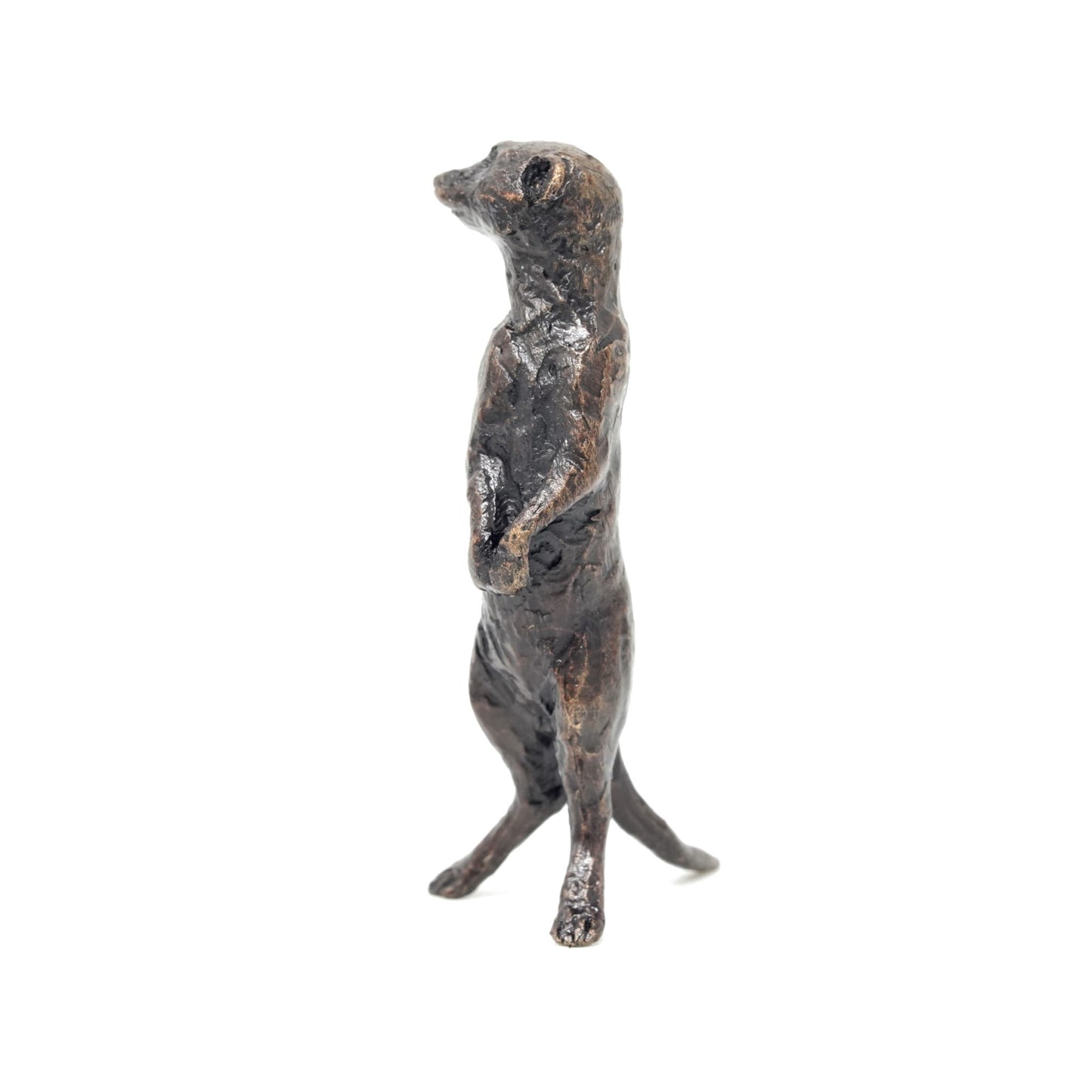 Meerkat Standing