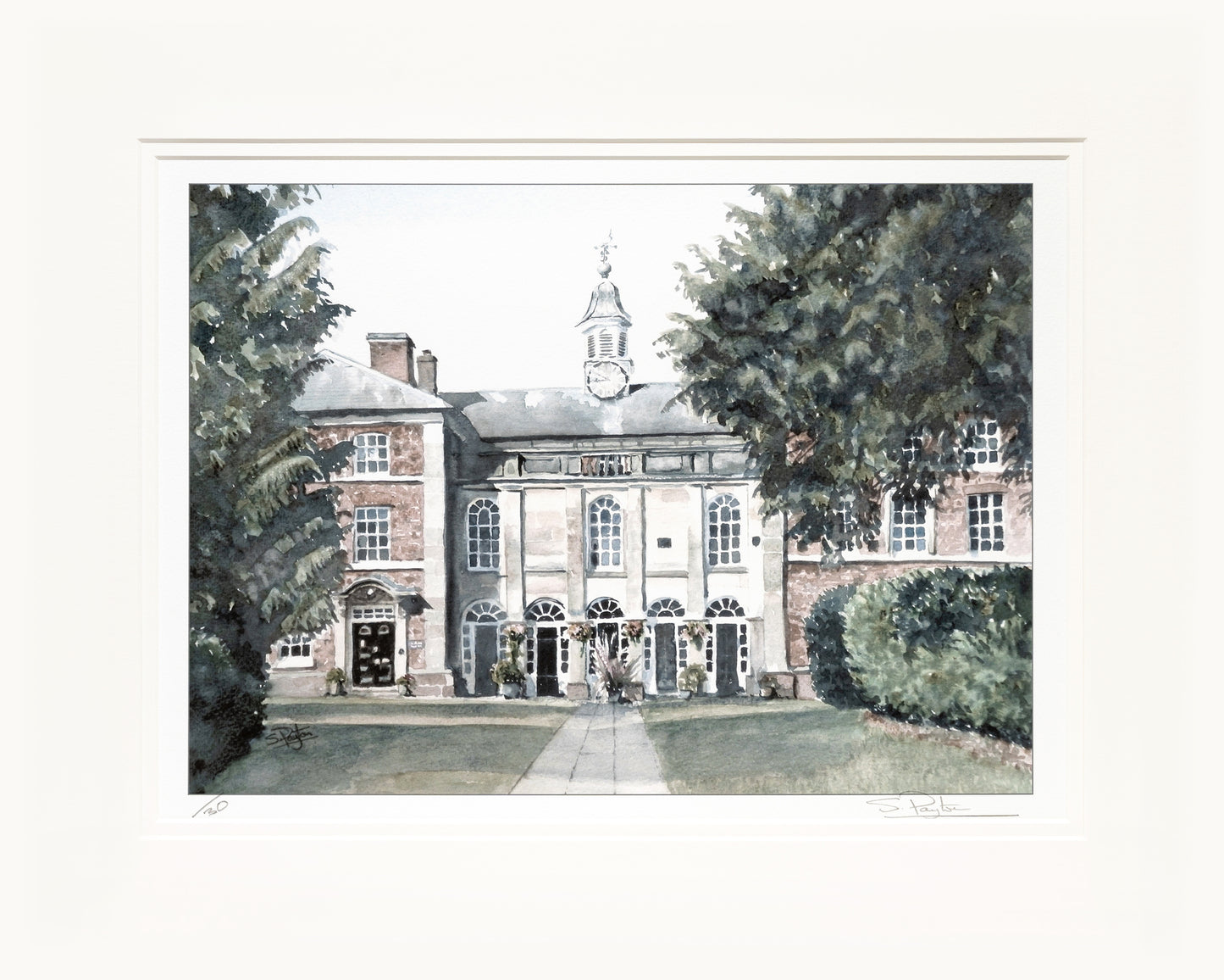 Adams II Limited Edition Print by Sue Payton