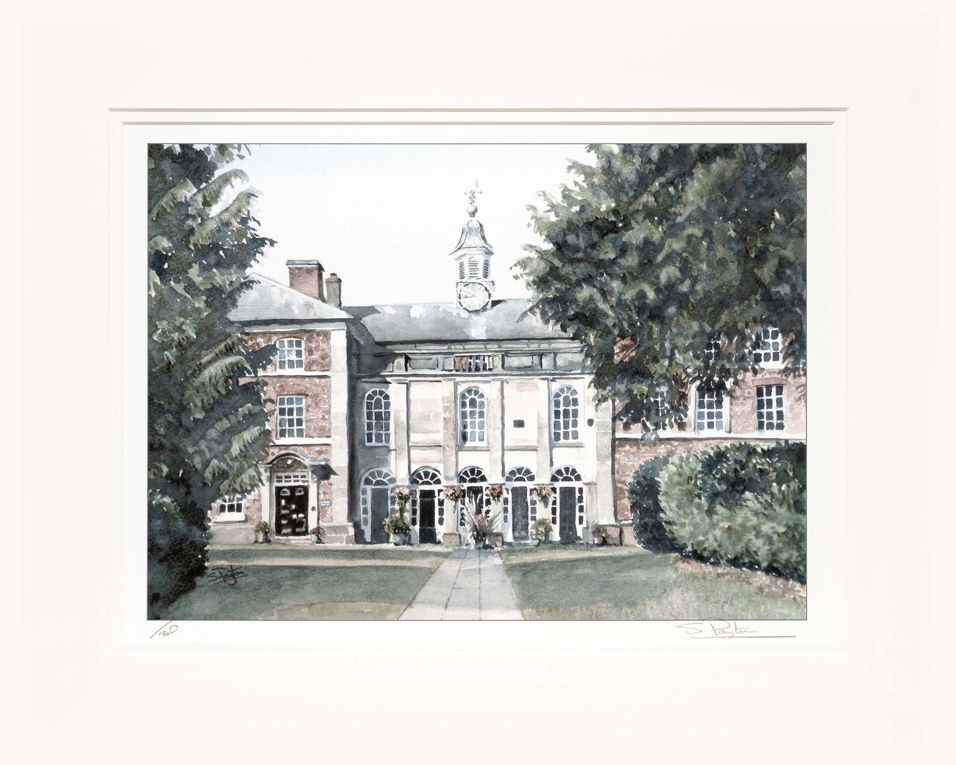 Adams II Limited Edition Print by Sue Payton