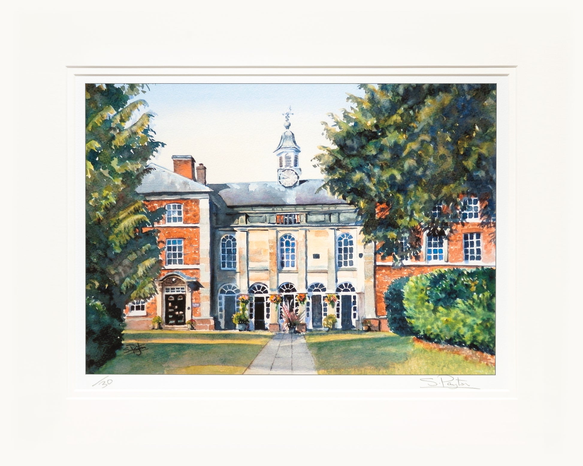 Adams Limited Edition Print by Sue Payton Mounted