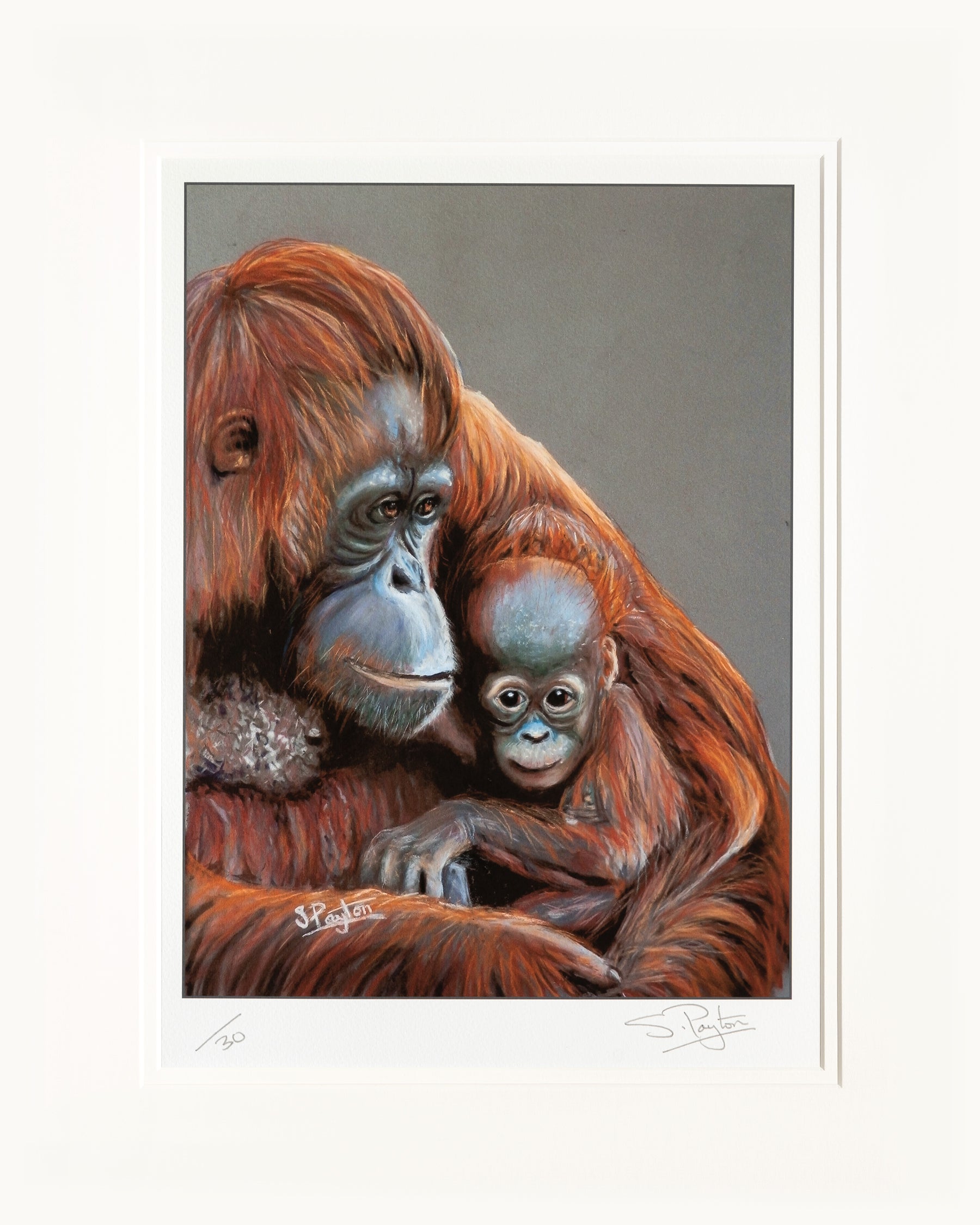 Protect Me limited edition print by Sue Payton
