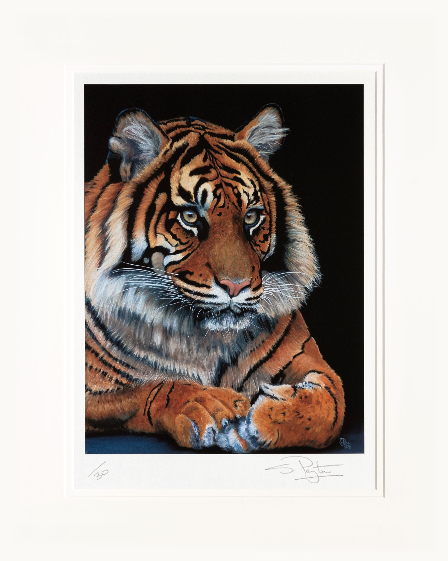 Watching limited edition print by Sue Payton