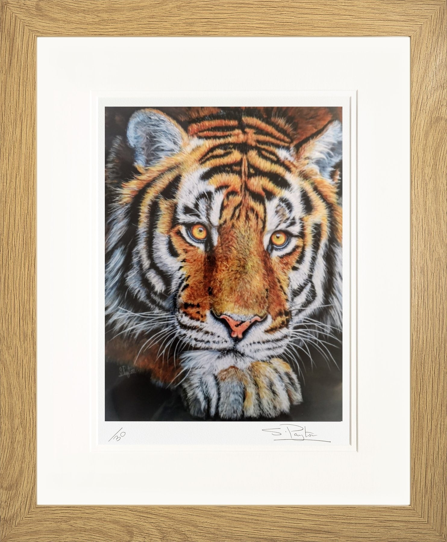 Jupiter limited edition print by Sue Payton