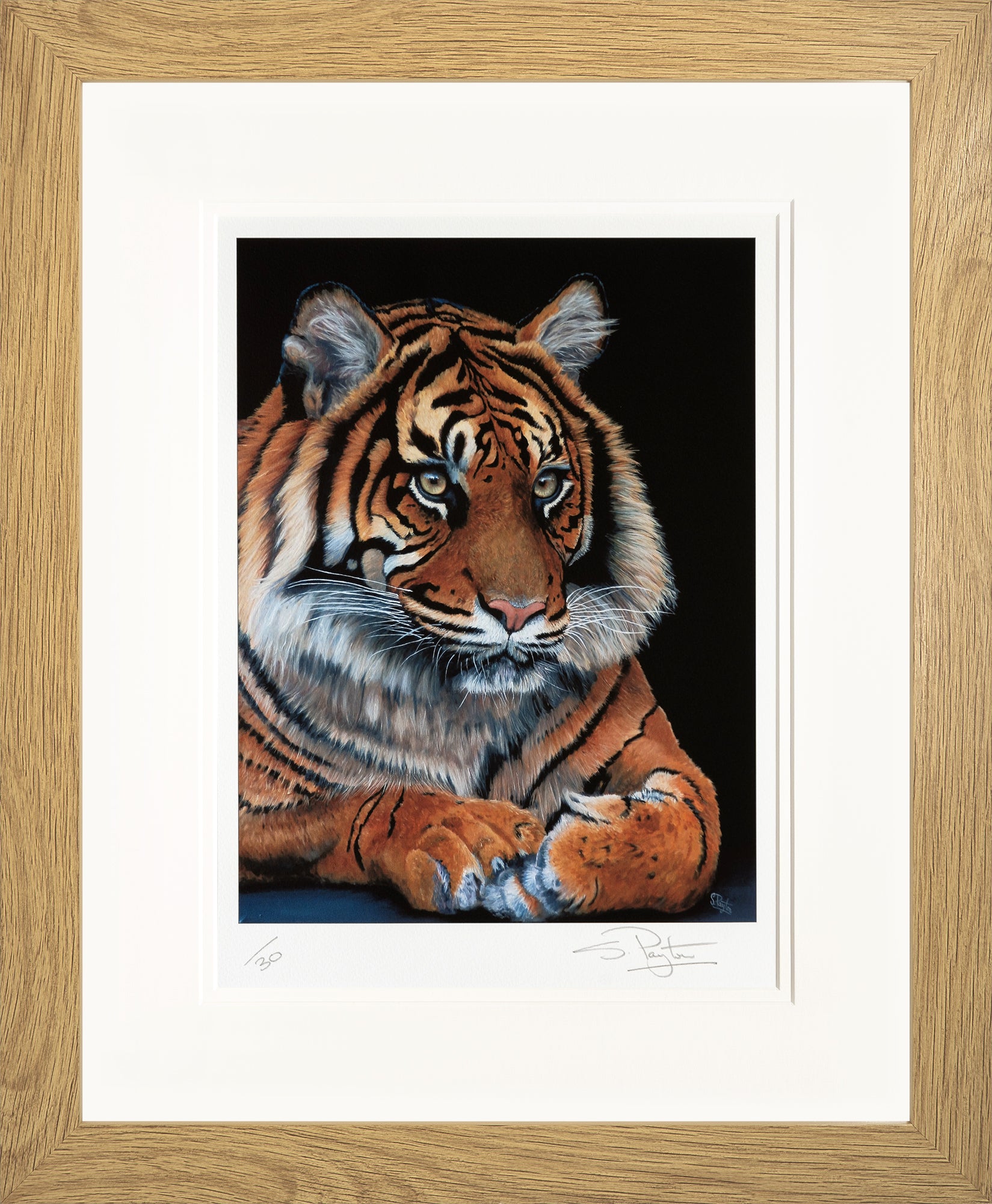 Watching limited edition print by Sue Payton