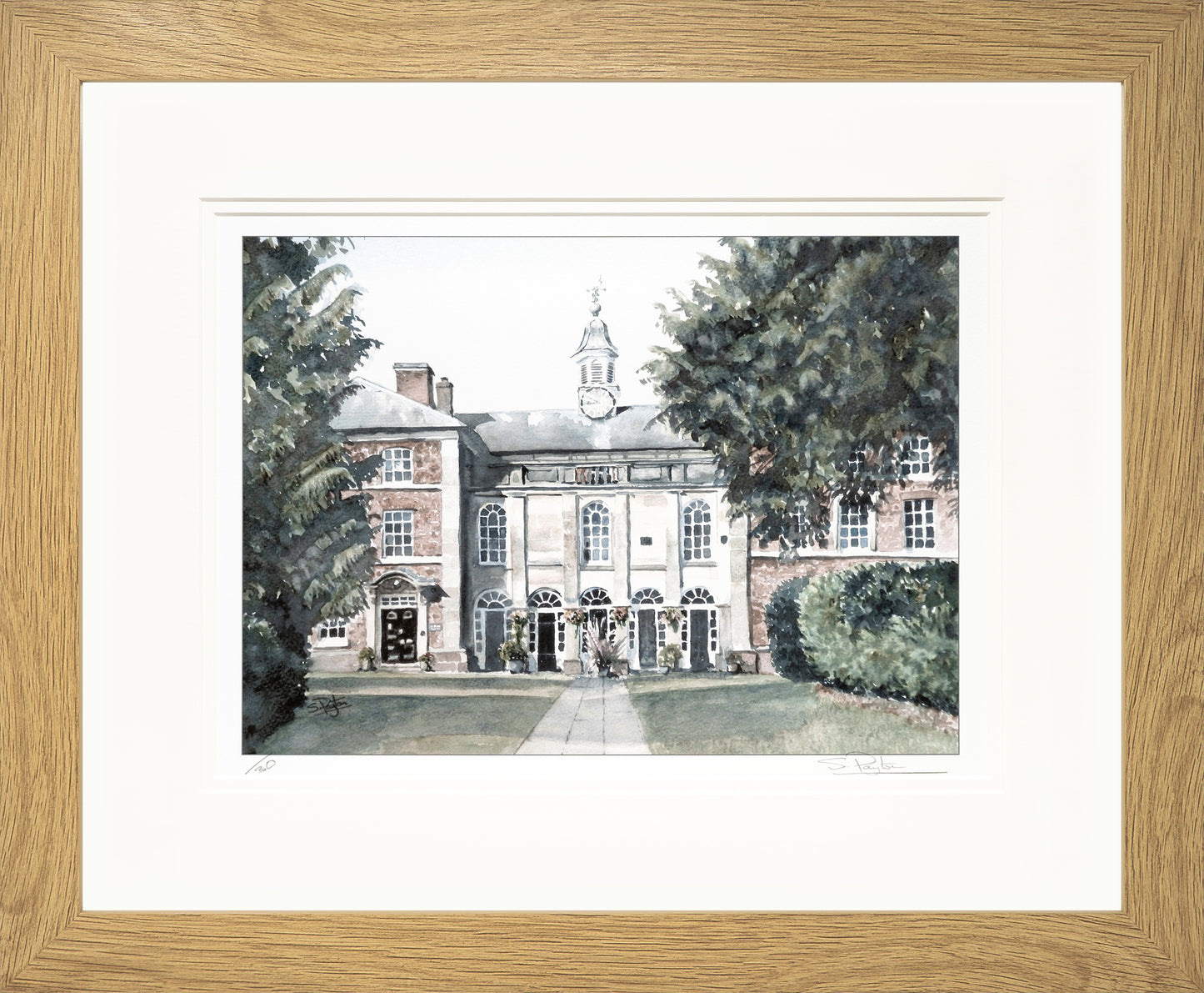 Adams II Limited Edition Print by Sue Payton Framed Oak