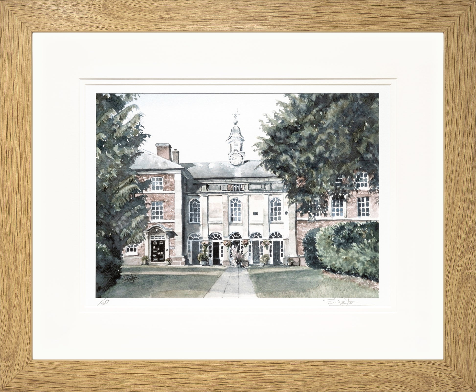 Adams II Limited Edition Print by Sue Payton Framed Oak