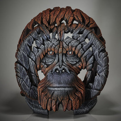 Orangutan Bust from Edge Sculpture by Matt Buckley
