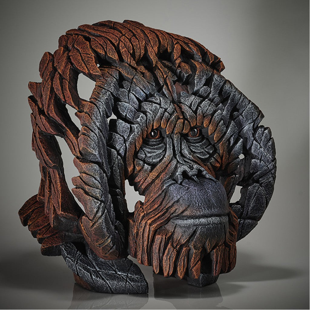 Orangutan Bust from Edge Sculpture by Matt Buckley