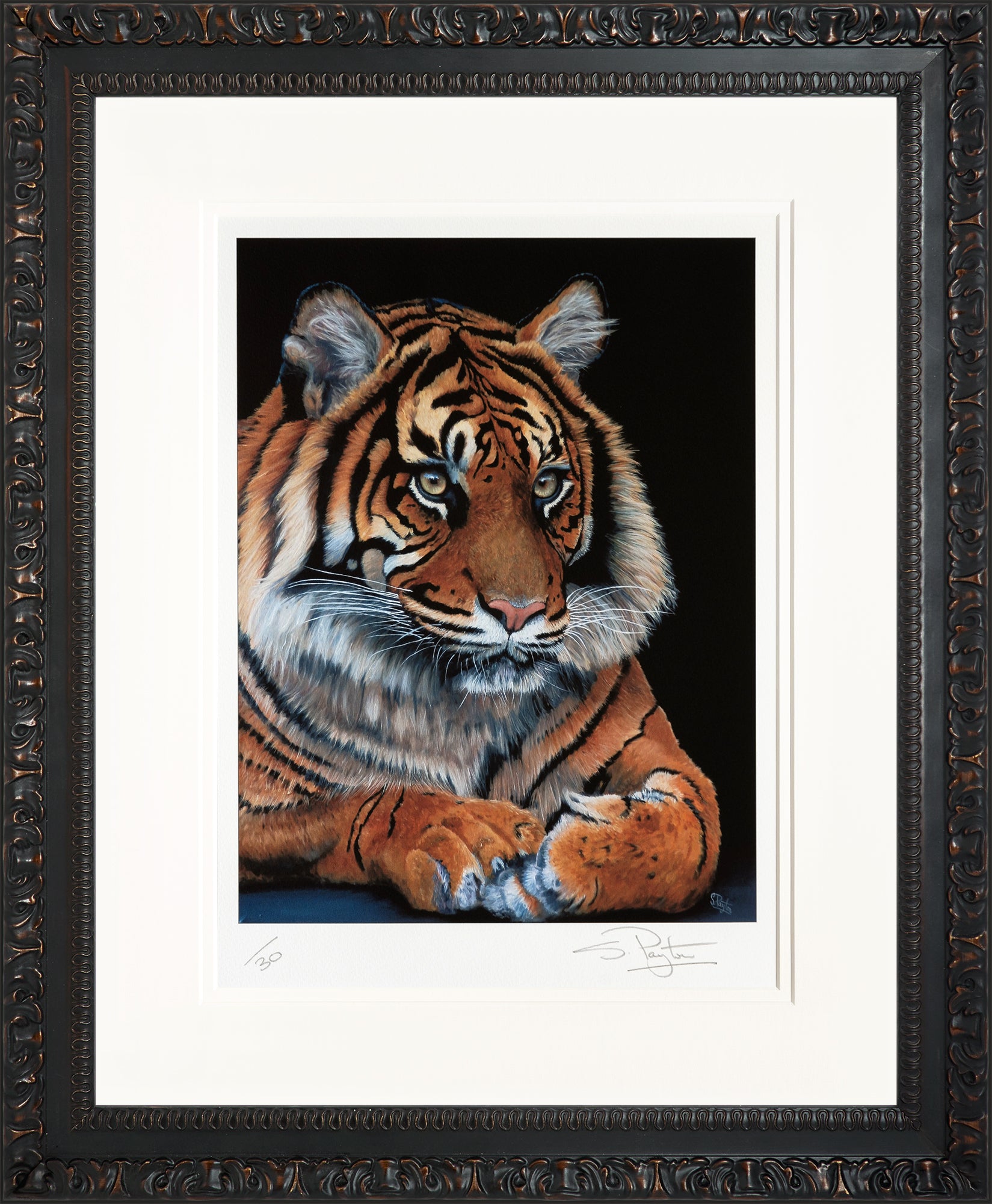 Watching limited edition print by Sue Payton