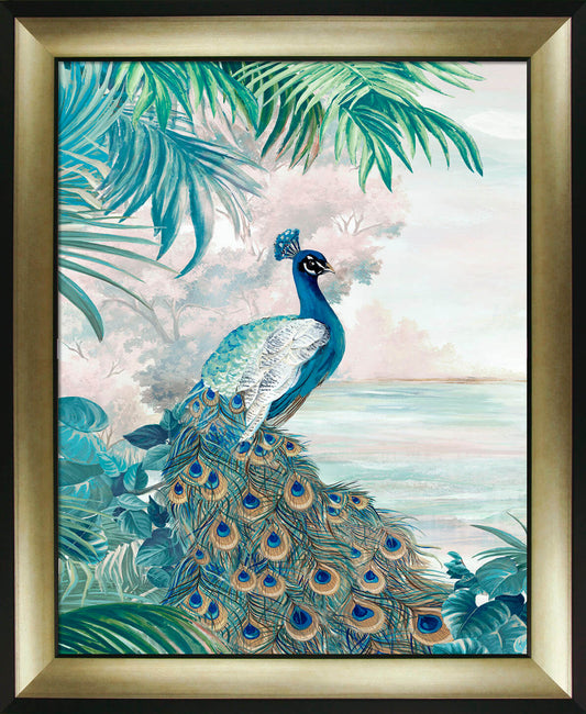 Peacock Glory I framed print by Eva Watts