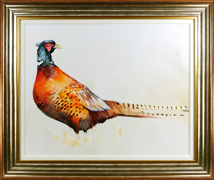 Pheasant framed print by Jennifer Paxton Parker