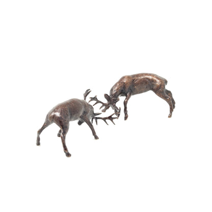 Rutting Stags