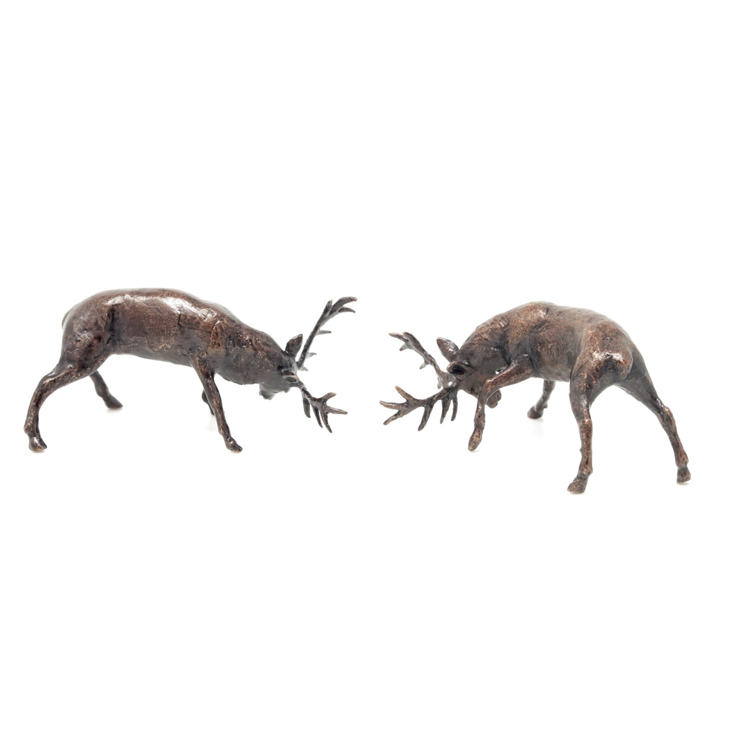 Rutting Stags