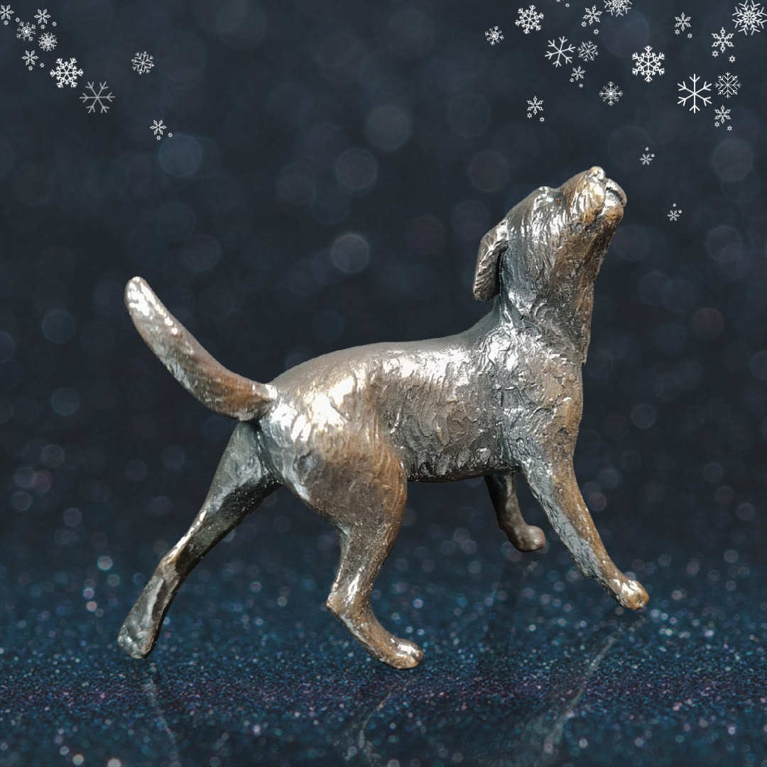 Small Border Terrier solid bronze sculpture by Michael Simpson