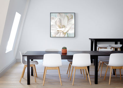 Soft White framed print by Eva Watts