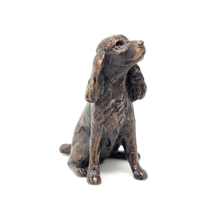 Spaniel