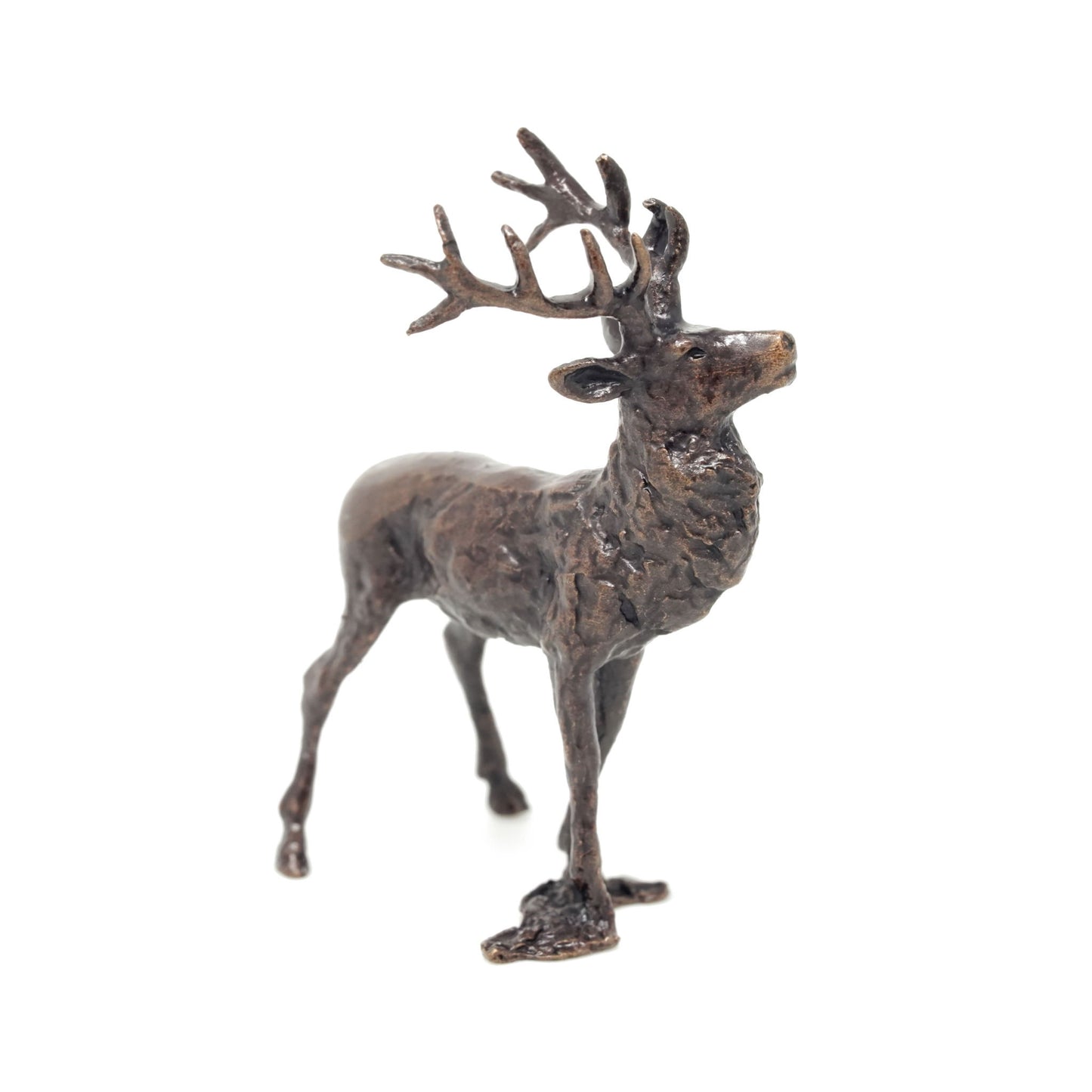 Stag