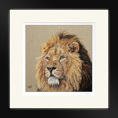Lion Print by Sue Payton Framed Black