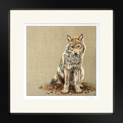 Wolf Cub by Sue Payton Limited Edition Print Framed Black