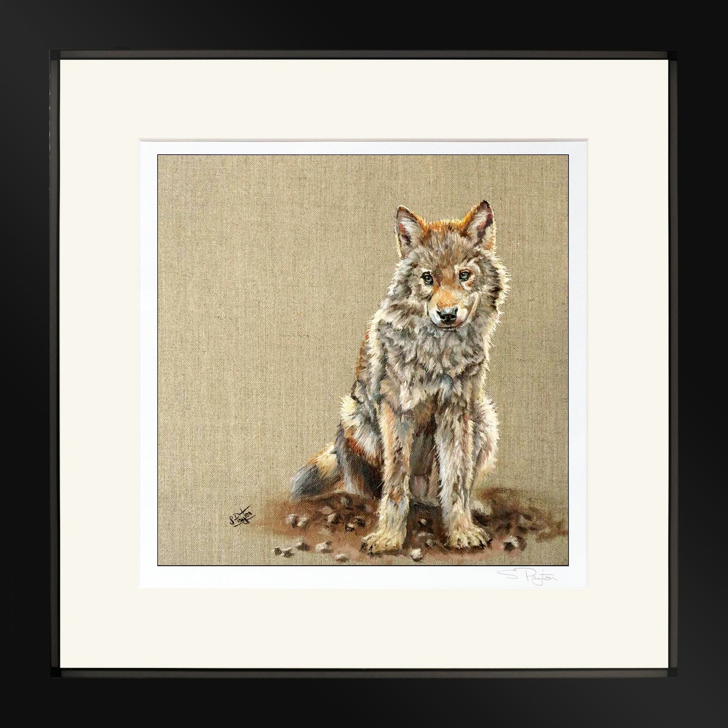 Wolf Cub by Sue Payton Limited Edition Print Framed Black