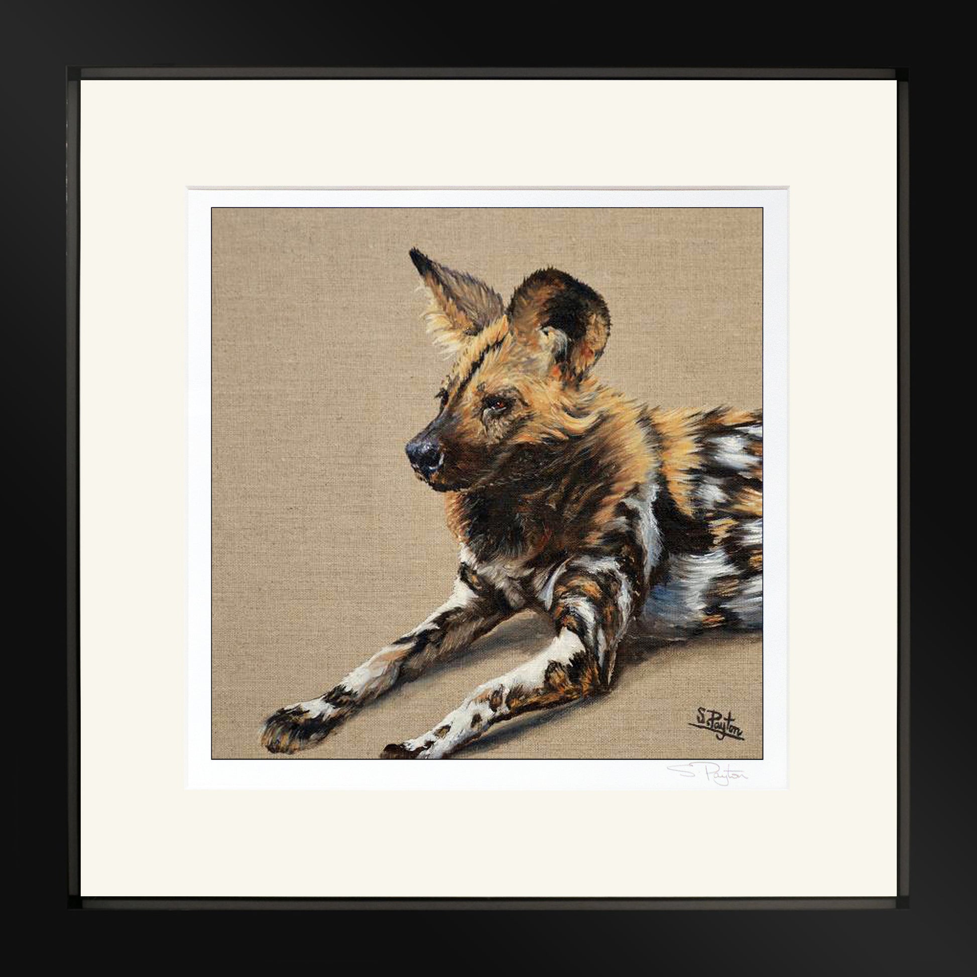 Wild Dog by Sue Payton Limited Edition Print Framed Black