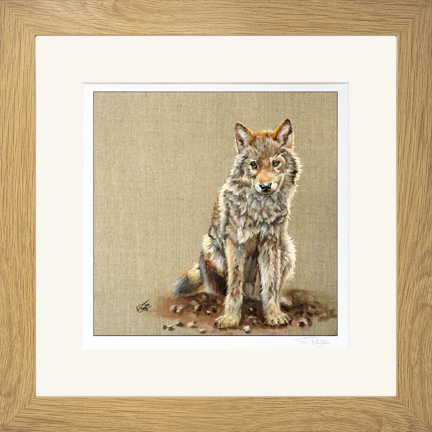Wolf Cub by Sue Payton Limited Edition Print Framed Oak