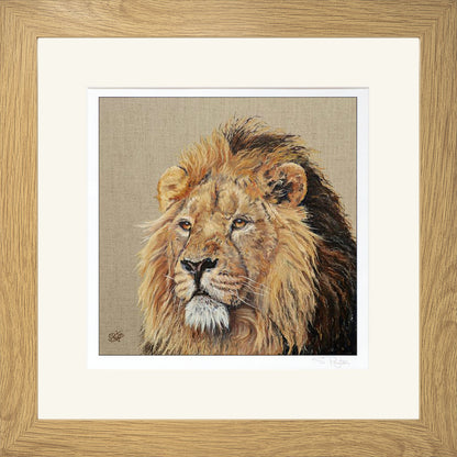 Lion Print by Sue Payton Framed Oak