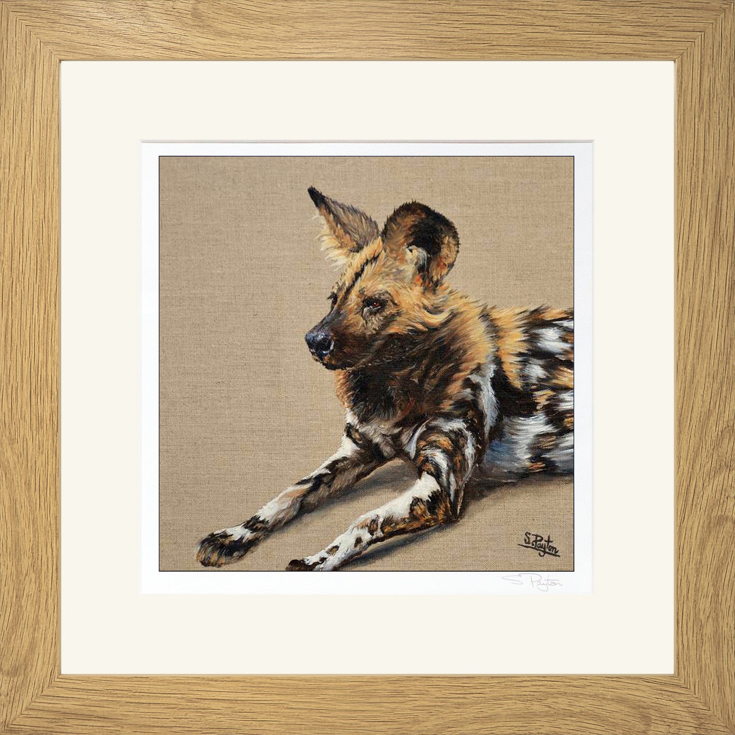 Wild Dog by Sue Payton Limited Edition Print Framed Oak