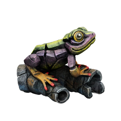 African Tree Frog Rainbow Green