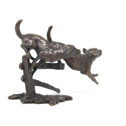 Two Labradors Running