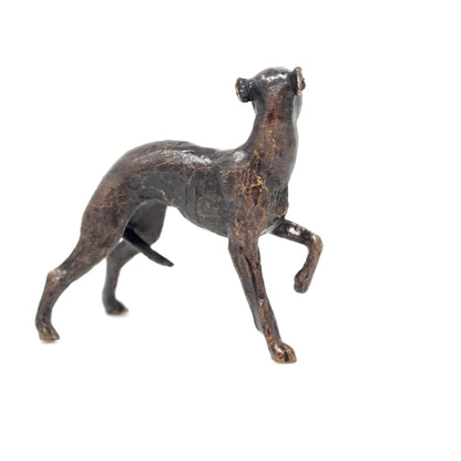Whippet