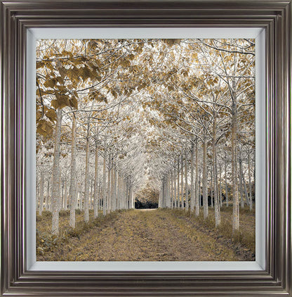 White Gold framed print by Assaf Frank